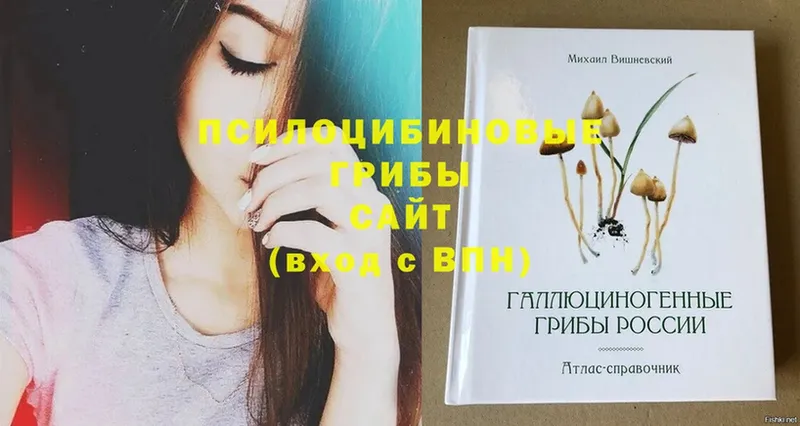 Псилоцибиновые грибы GOLDEN TEACHER  гидра ссылки  Нытва  купить закладку 